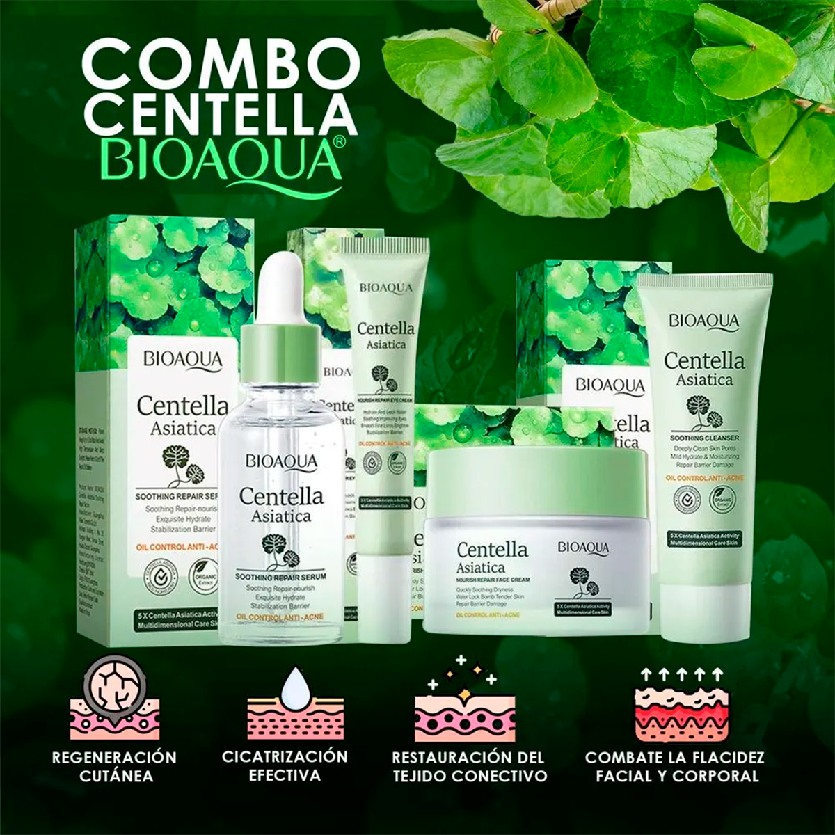 Kit Centella Asiática